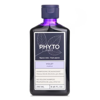 Phyto PhytoArgent No Yellow Shampoo (Gray, White, Bleached Hair)