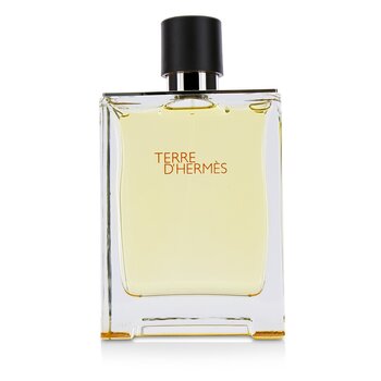 Hermes Terre DHermes Eau De Toilette Spray (Unboxed)