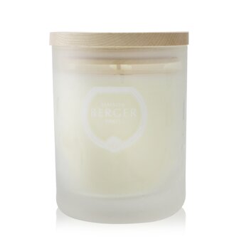 Scented Candle - Aroma Focus